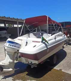 Cobra Bimini 16 + Evinrude 90 Hp 