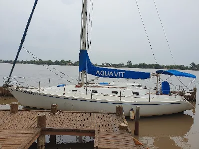 Frers 36