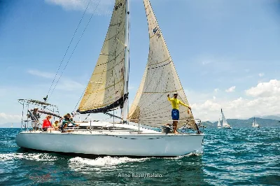 Tripp 33