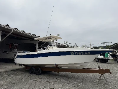 Wellcraft 260 WA